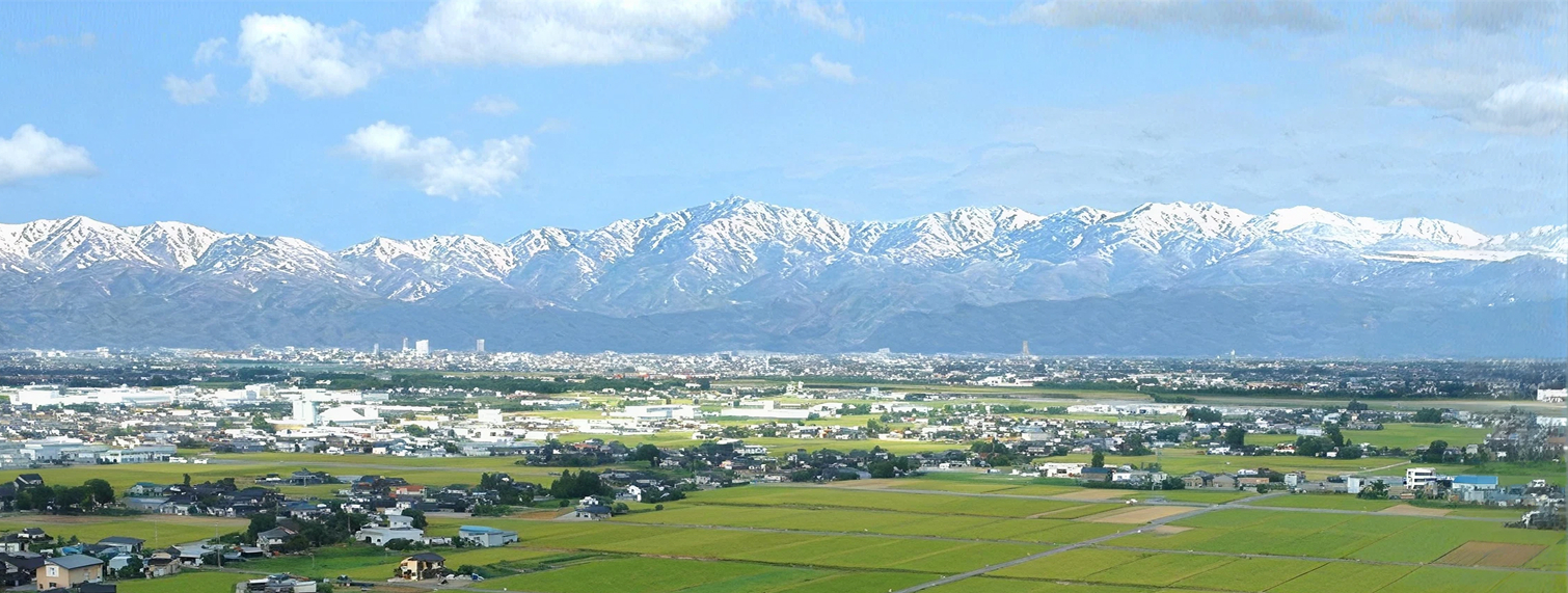 会社情報